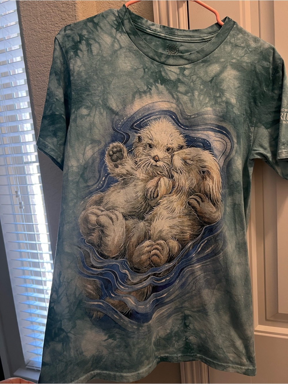 The mountain tshirt